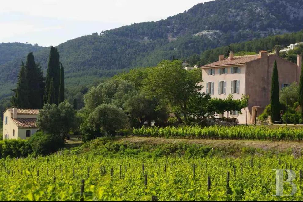 vineyards for sale France provence cote dazur   - 2